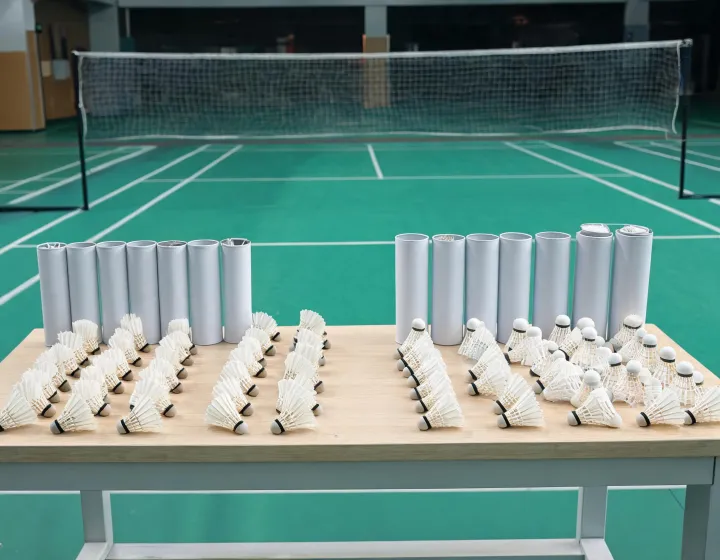 Shuttlecock inquiry sample range